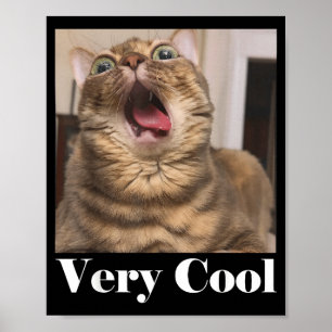 Affiche Graphique de Mème de Chats Humour de Chat Drôle Ch