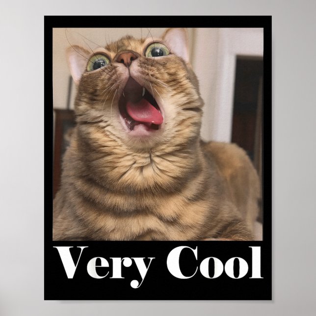 Affiche Graphique de Mème de Chats Humour de Chat Drôle Ch (Devant)