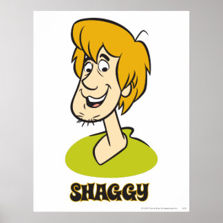 Affiche Graphique de nom de schaggy
