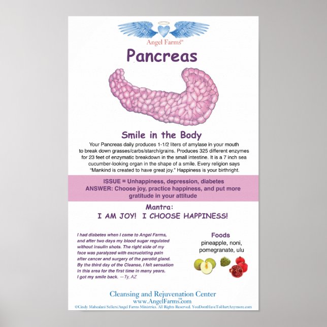 Affiche Graphique de Pancreas d'élevage d'anges (Devant)