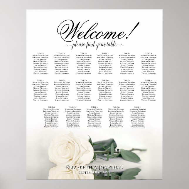 Affiche Graphique de placement de table de mariage élégant (Devant)