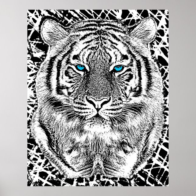 Affiche Graphique de tigre noir et blanc aux yeux bleus (Devant)
