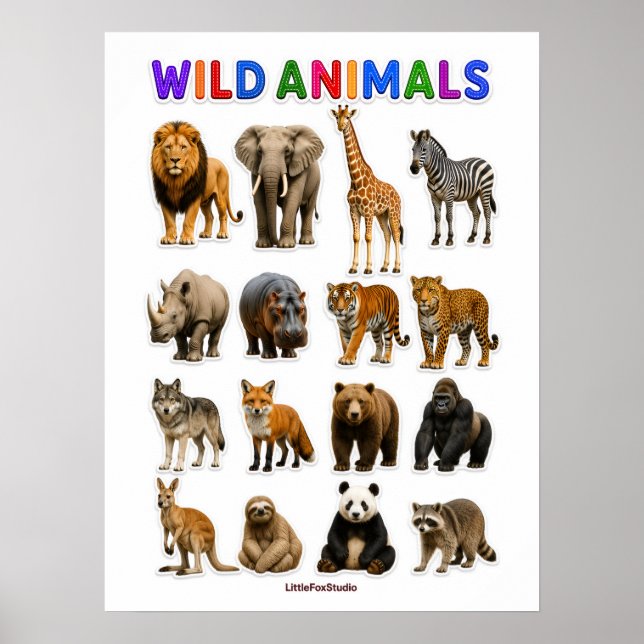 Affiche Graphique des animaux sauvages (Devant)