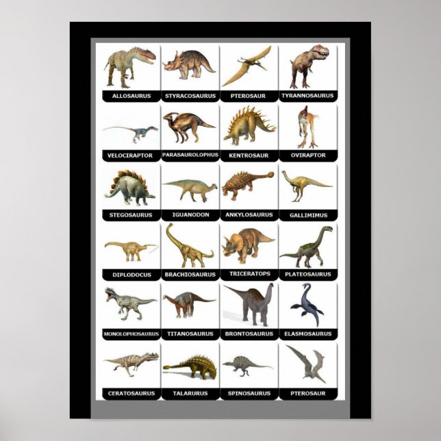 Affiche Graphique des dinosaures (Devant)
