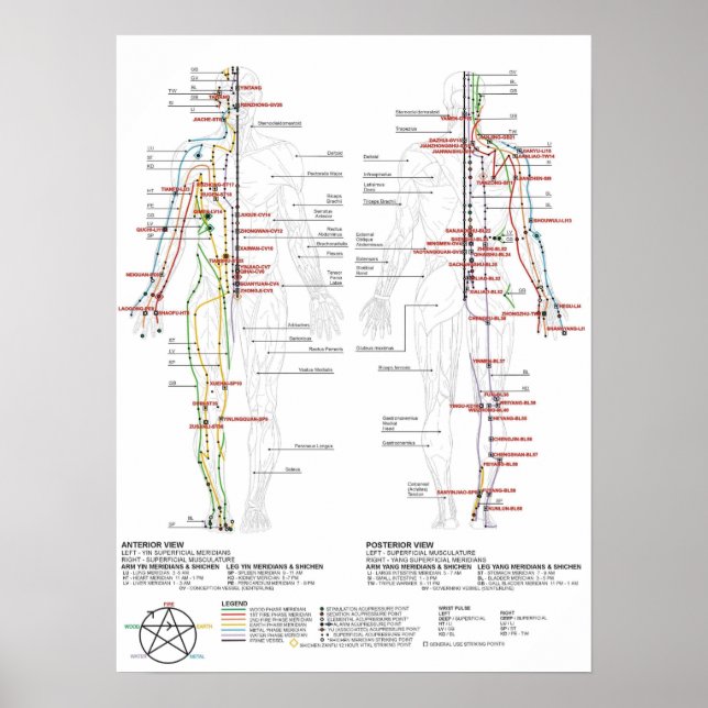 Affiche Graphique des méridiens humains (Devant)