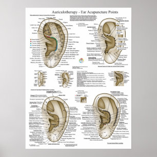 Affiche Graphique des points d'acupuncture auriculothermiq