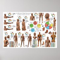 Graphique des points de Méridiens d'acupuncture fr