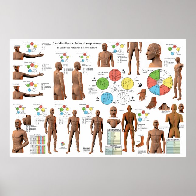 Affiche Graphique des points de Méridiens d'acupuncture fr (Devant)