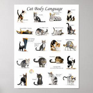 Affiche Graphique du langage corporel du chat