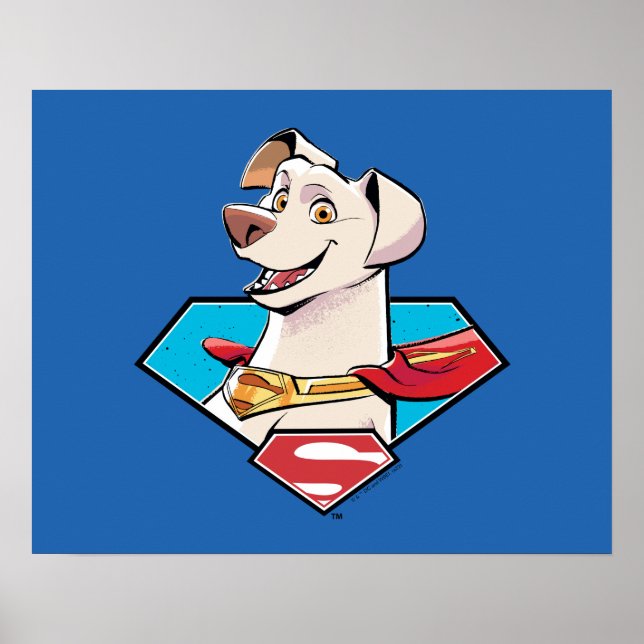 Affiche Graphique Krypto S-Shield (Devant)