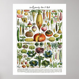 Affiche Graphique Légumes Vintages français cultivés local