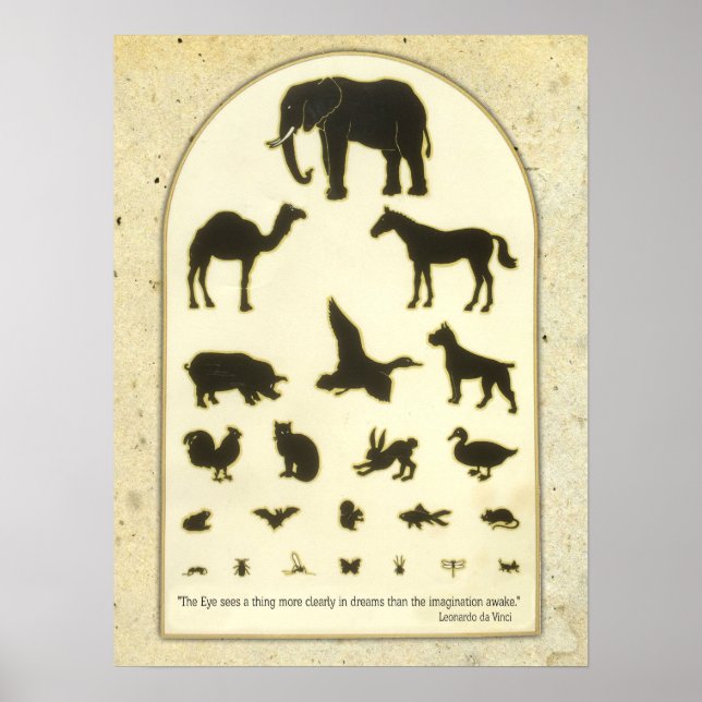 Affiche Graphique Oeil animal ~ Citation Leonardo da Vinci (Devant)