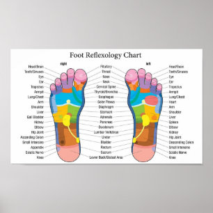 Affiche Graphique Réflexologie des pieds