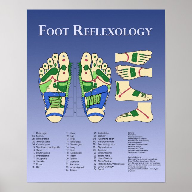 Affiche Graphique Réflexologie des pieds - Bleu (Devant)