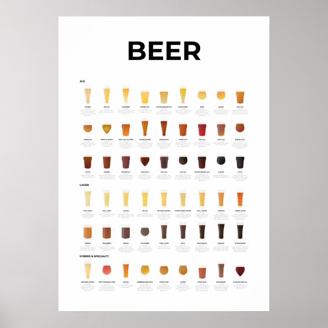 Affiche Graphique Types de bières (Devant)