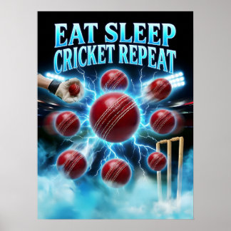 Affiche Graphisme de cricket bootleg rétro