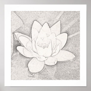 AFFICHE GRAPHITE LOTUS GRAPHITE