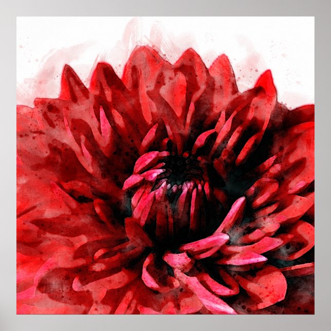Affiche Gras Dahlia Aquarelle Crimson (Devant)