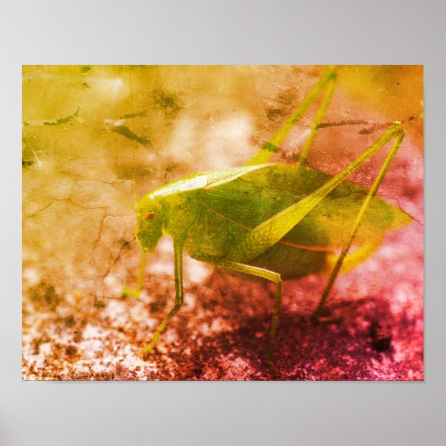 Affiche Grasshopper Katydid Grunge Abstrait (Devant)