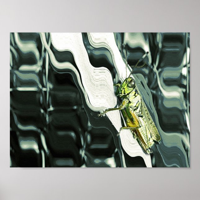 Affiche Grasshopper sur Abstrait (Devant)