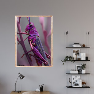 Affiche Grasshopper violet