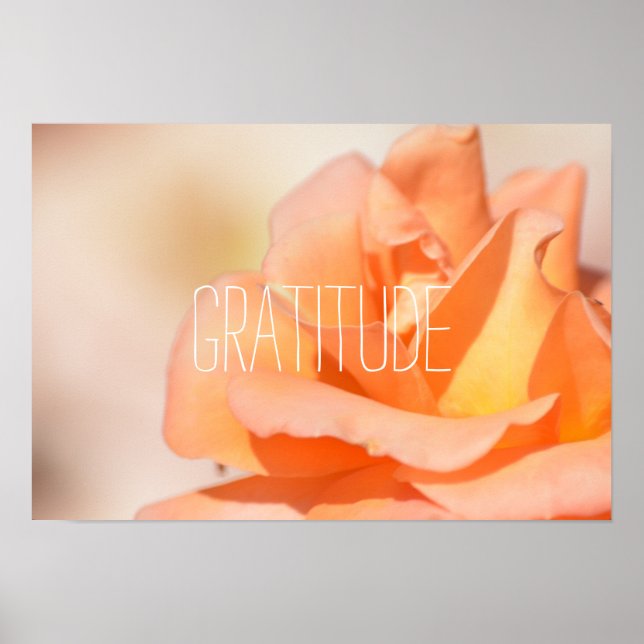 Affiche Gratitude (Devant)