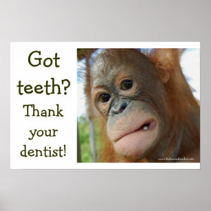 Affiche Gratitude Drôle