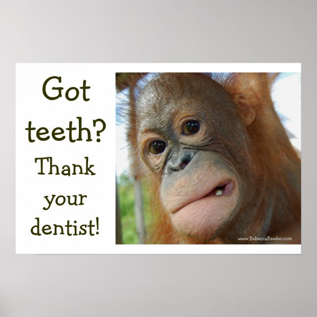 Affiche Gratitude Drôle (Devant)