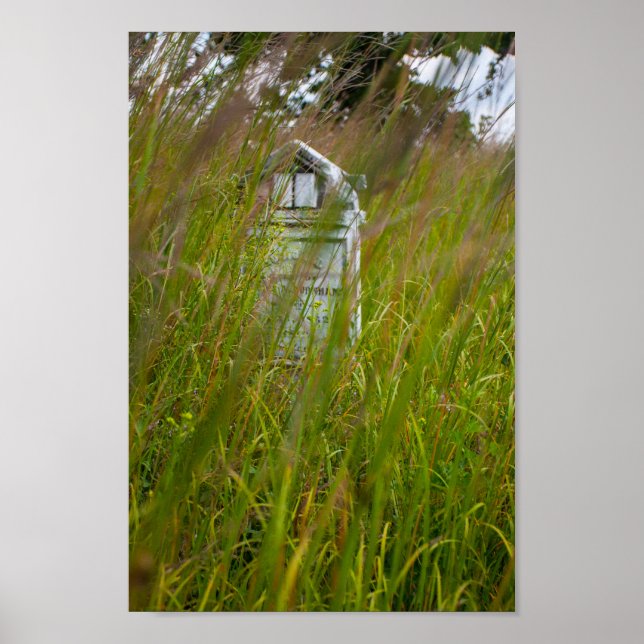 Affiche Grave, Smith Cemetery State Nature Preserve, Ohio (Devant)