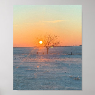 Affiche Graves Sunny