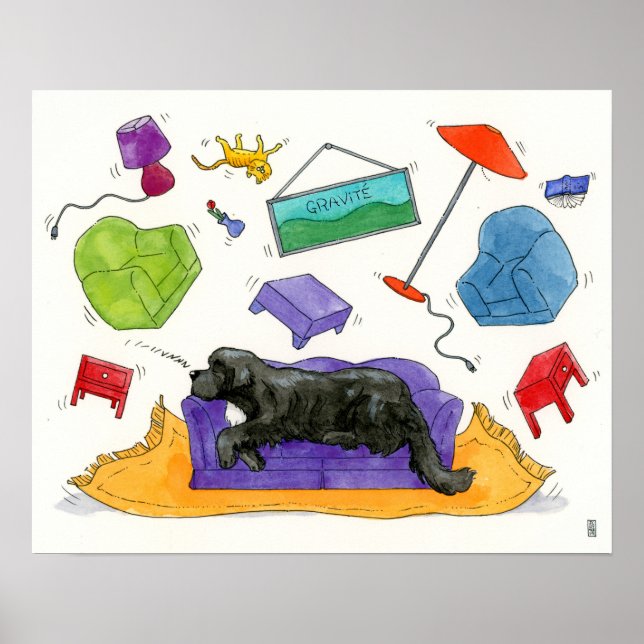 Affiche Gravité - Gravité (Devant)