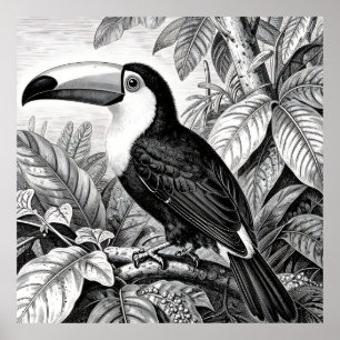 Affiche Gravure de feuillage de jungle de toucans