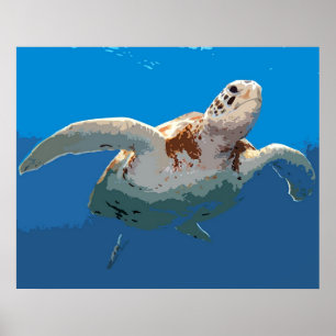 Affiche Gravure sur bois en tortue verte