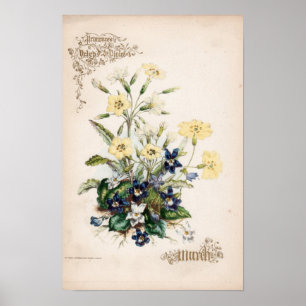 Affiche Gravures botaniques, mars