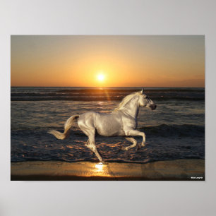 Affiche Gray Andalucien Courant Sur La Plage En Mer