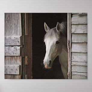 Affiche Gray Mare Horse & Grange Archivage