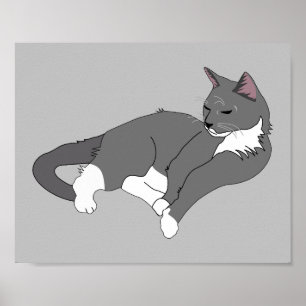 Affiche Gray & White Tuxedo Cat