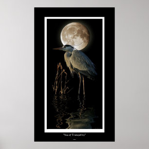 Affiche Great Blue Heron, Reeds et Moon Art Imprimer