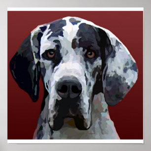 Affiche Great Dane Harly 12.5