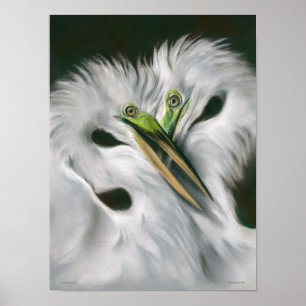 Affiche Great Egrets in Love