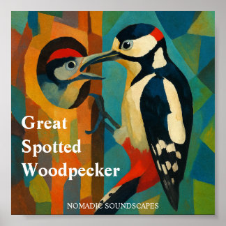 Affiche Great Spotted Woodpecker Album Cover