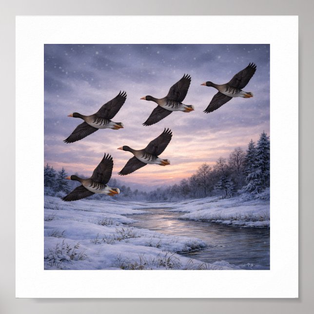 Affiche Greater White-fronted Geese in Winter –  (Devant)