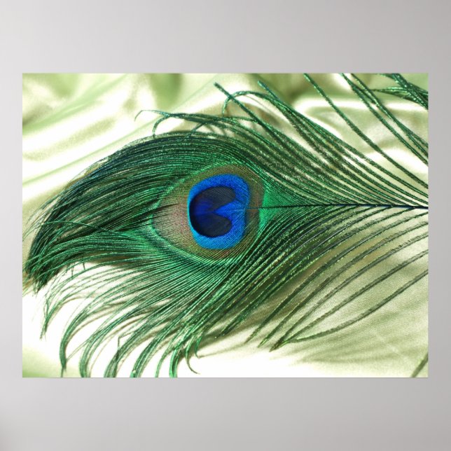 Affiche Green Apple Peacock Sill Life (Devant)