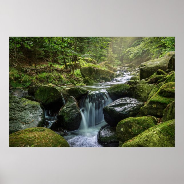 Affiche Green Forest and River (Devant)