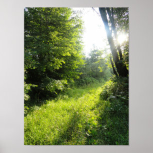Affiche Green Forest Meadow