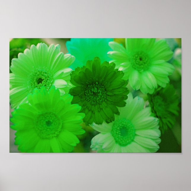 Affiche Green Gerbera Daisy Flowers Wall Art Imprimer Post (Devant)