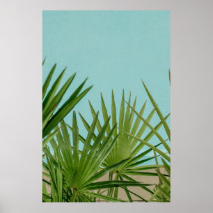 Affiche Green palm plant near body of water
