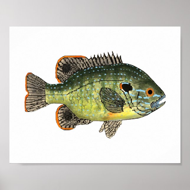 Affiche Green Sunfish T-Shirt (Devant)