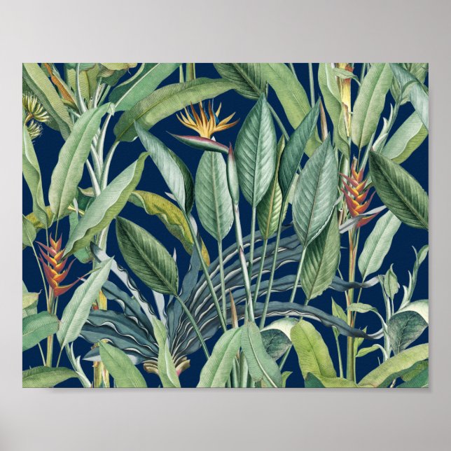 Affiche Green Tropical Jungle Banana Tree Strelitzia (Devant)