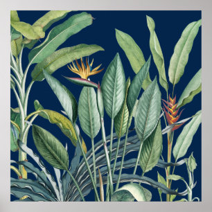 Affiche Green Tropical Jungle Banana Tree Strelitzia